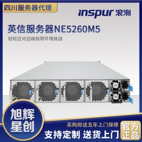成都浪潮服務(wù)器總代理NE5260M5 2U雙路機架式文件虛擬化主機