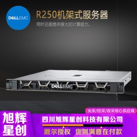 成都戴爾（DELL）1U機(jī)架式服務(wù)器主機(jī) R250文件ERP存儲(chǔ)數(shù)據(jù)庫財(cái)務(wù)