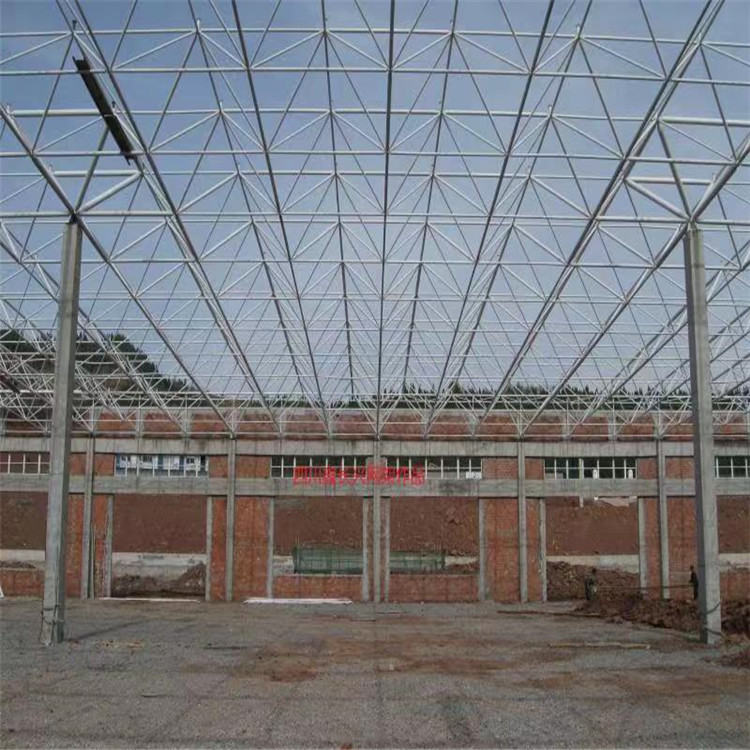 四川鋼網(wǎng)加工生產(chǎn) 景觀建筑網(wǎng)架施工 鑫長興