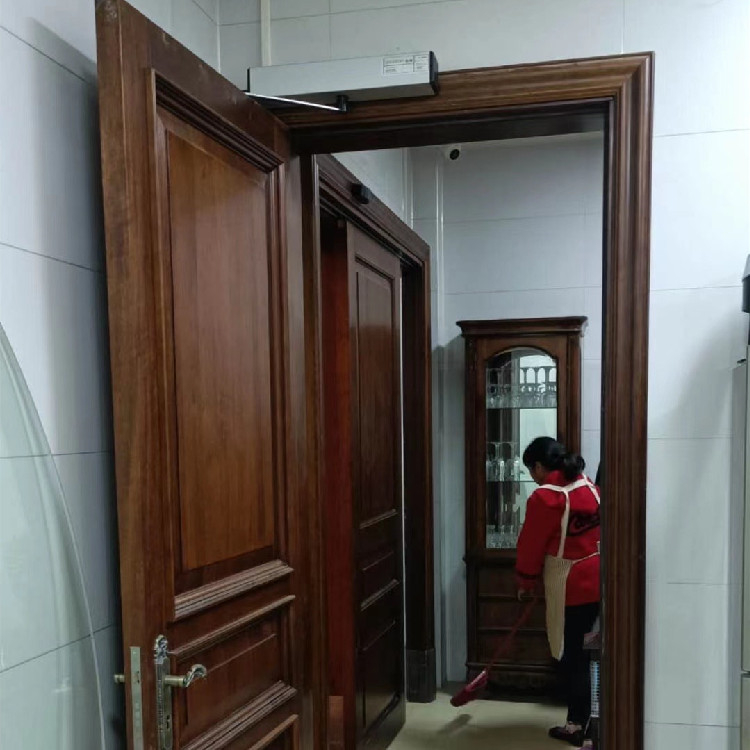 鑫志灝 學(xué)校招標(biāo)平開門 可定制 家用 商用 隔音簡(jiǎn)約 無甲醛 平開門