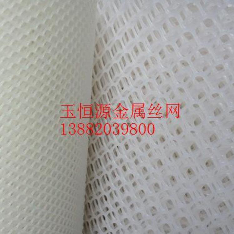 廠價(jià)批發(fā)塑料養(yǎng)殖網(wǎng)PE塑料平網(wǎng)雞網(wǎng)塑料網(wǎng)隔離網(wǎng)1