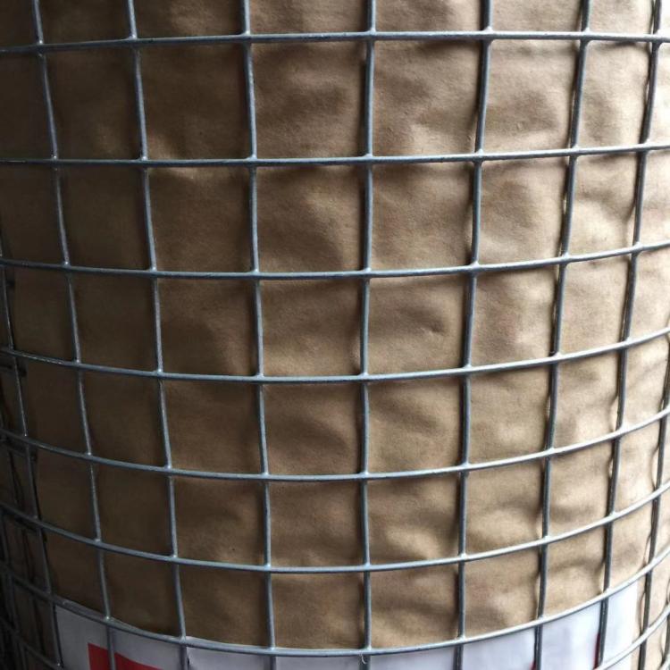 廠價(jià)供應(yīng)熱鍍鋅電焊網(wǎng)建筑用電焊網(wǎng)養(yǎng)殖網(wǎng)鋼絲網(wǎng)鐵絲網(wǎng)