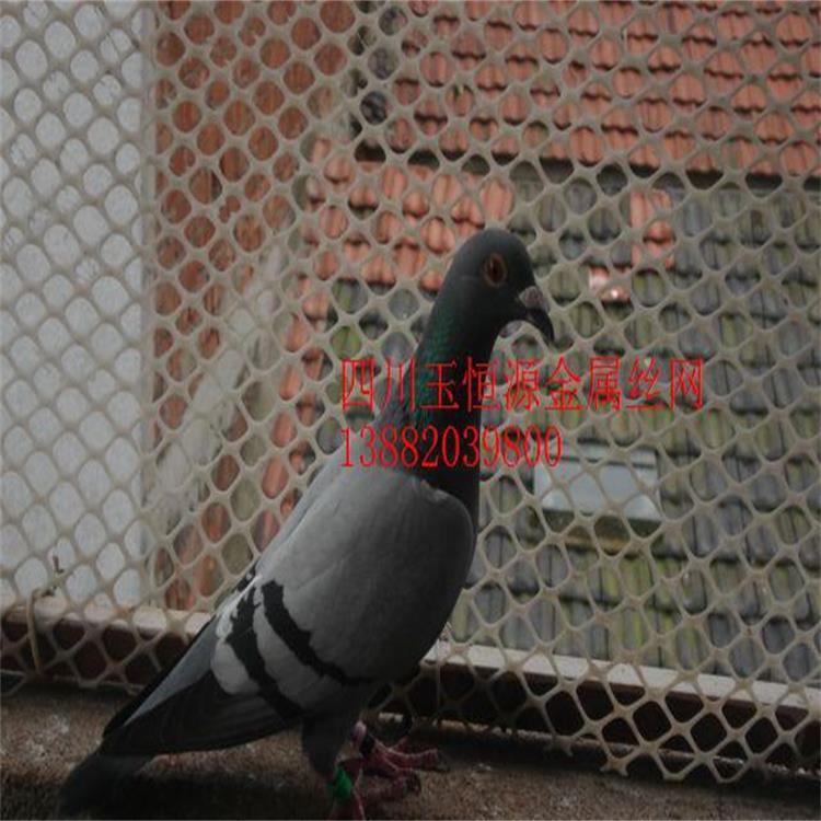 廠價批發(fā)塑料養(yǎng)殖網(wǎng)PE塑料平網(wǎng)雞網(wǎng)塑料網(wǎng)