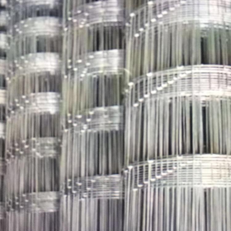 廠價直供四川牛欄網(wǎng)鋼絲網(wǎng)草原網(wǎng)圍欄網(wǎng)護欄網(wǎng)防護網(wǎng)圈地網(wǎng)1