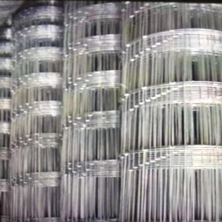 玉恒源直供牛欄網(wǎng)、圍欄網(wǎng)、護(hù)欄網(wǎng)、防護(hù)網(wǎng)