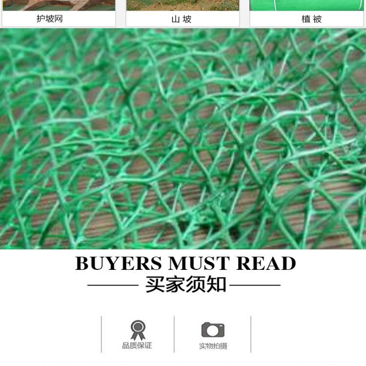 玉恒源廠價(jià)直供三維植被網(wǎng)護(hù)坡專業(yè)用網(wǎng)塑料網(wǎng)邊坡種草網(wǎng)