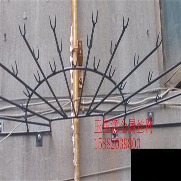 廠價直供小區(qū)燃?xì)夤芊琅来膛潘艿婪辣I傘防盜刺