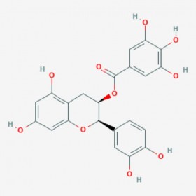 表兒茶素沒食子酸酯 (-)-Epicatechin-3-gallate ECG 標準品|對照品