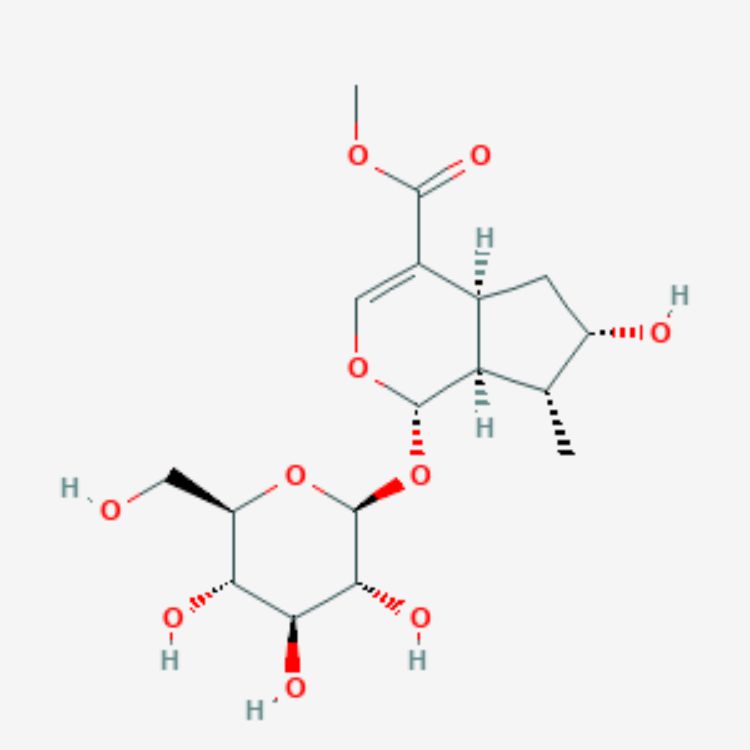 馬錢苷(馬錢素)