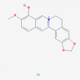 小檗紅堿 Berberrubine 15401-69-1