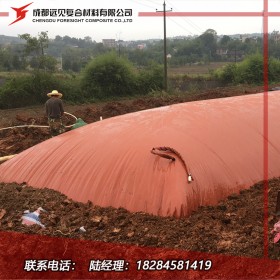 專業(yè)定制紅泥沼氣池 沼氣袋 廠家直銷可實地驗廠