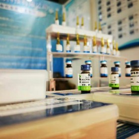 N-反式-對香豆酰酪胺丨36417-86-4丨廠家|價格-成都普菲德