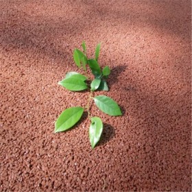 自貢彩色透水混凝地坪材料增強劑 透水地坪 透水地坪粘接劑