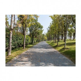 四川省雅安市透水地坪  彩色透水混凝土地坪材料生產(chǎn)廠家  透水地坪生產(chǎn)廠家  生態(tài)透水砼粘接劑  現(xiàn)場施工免費(fèi)指導(dǎo)   量大送貨到工地