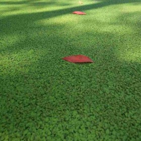 武漢市 透水混凝土 透水混凝土廠家 園林景觀、學(xué)校操場(chǎng)地坪 口碑推薦