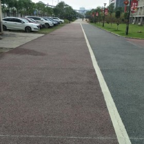 盲道透水混凝土 園林道路彩色混凝土 來(lái)圖加工定制 包工包料