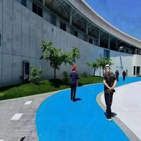 無(wú)砂透水混凝土 透水混凝土樹(shù)池 新型透水混凝土路面 廠家現(xiàn)貨供應(yīng)