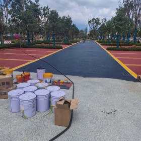 崇州市 混凝土透水道路 透水混凝土增強(qiáng)料 透水彩色砼 批發(fā)價格 免費輔導(dǎo)