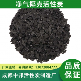 凈氣椰殼活性炭 椰殼果殼活性炭 椰殼活性炭 廠家直銷