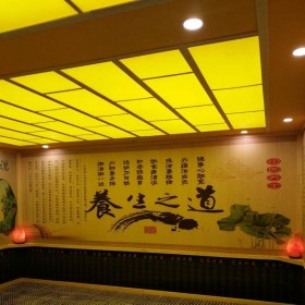 成都美容院汗蒸房裝修 電氣石汗蒸房專業(yè)免費(fèi)上門設(shè)計安裝 智恒