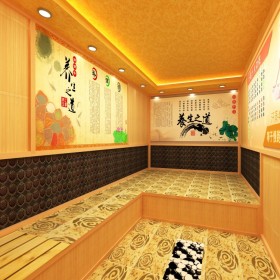 成都養(yǎng)生館洗浴中心汗蒸房裝修工程設(shè)計(jì) 固定式 家庭式 移動(dòng)式 包工包料  上門設(shè)計(jì)安裝