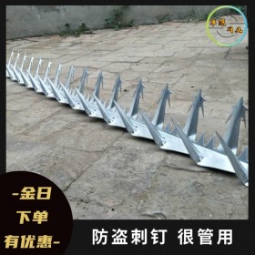管道防爬刺 卓源網(wǎng)業(yè)現(xiàn)貨直發(fā) 防爬傘  燃?xì)夤艿婪琅婪辣I刺