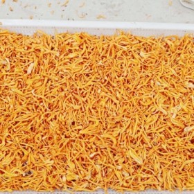 蛹蟲(chóng)花烘干設(shè)備-蛹蟲(chóng)花烘干房