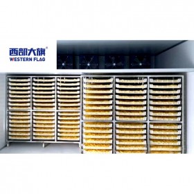 西部大旗金絲皇菊烘干房，金絲皇菊烘干工藝流程